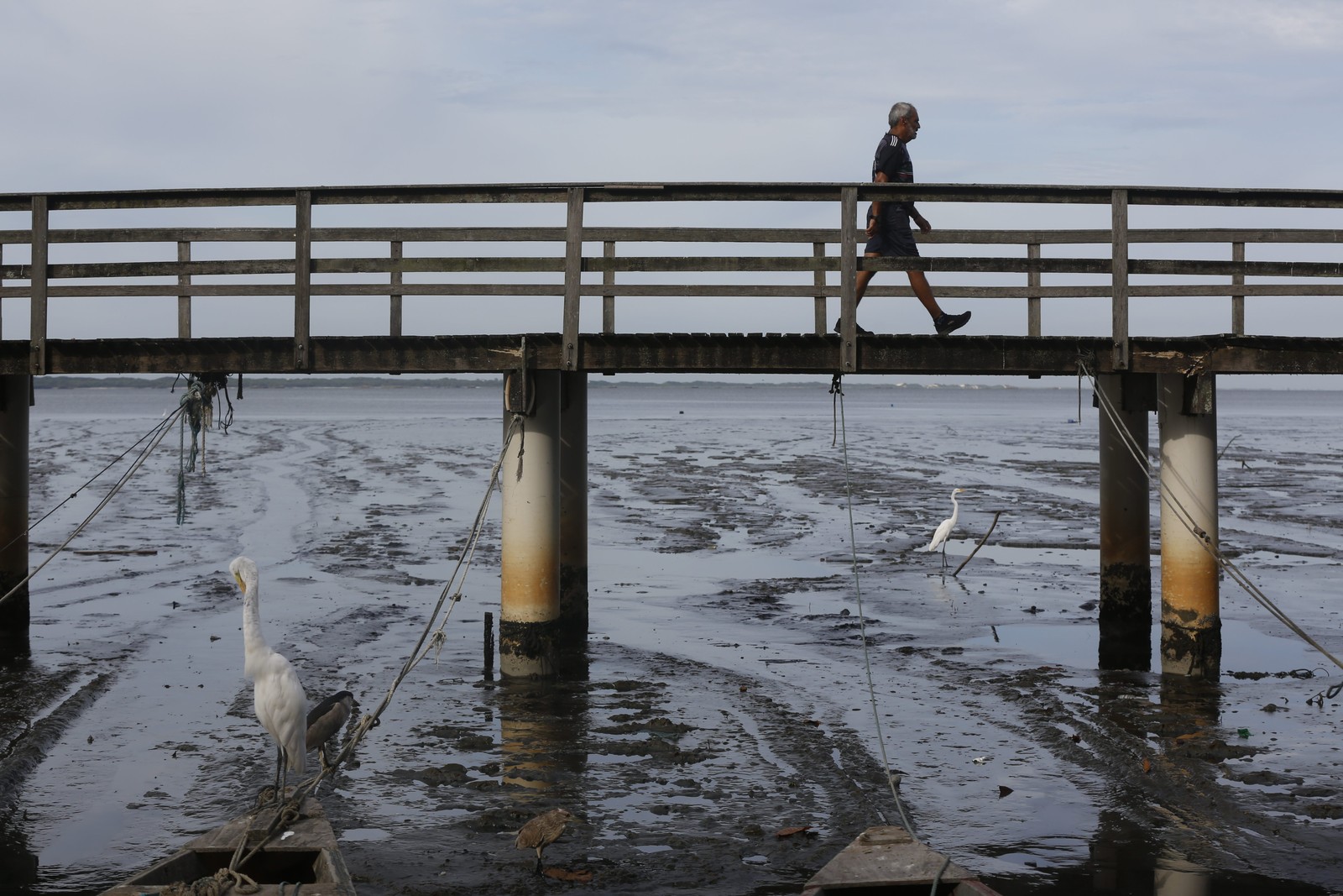 Retrato da degradação ambiental da Baía de Sepetiba — Foto: Custodio Coimbra