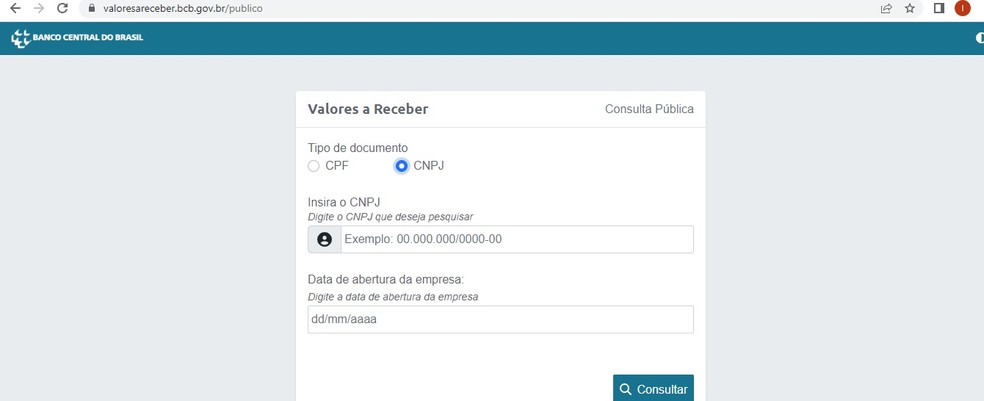 No caso de pessoa jurídica, é preciso informar o CNPJ e a data de criação da empresa — Foto: Reprodução