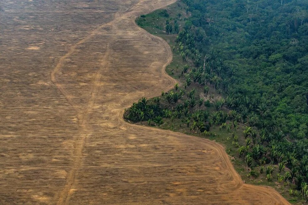 Desmatamento na Amazônia, próximo a Porto Velho — Foto: Victor Moriyama/NYT