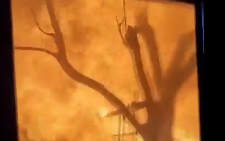 Vídeo mostra moradores em meio ao fogo durante fuga de incêndio no Havaí