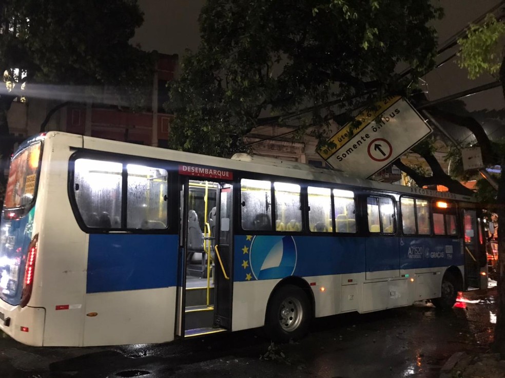 Árvore cai em ônibus no Centro do Rio — Foto: Giampaollo Morgado Braga