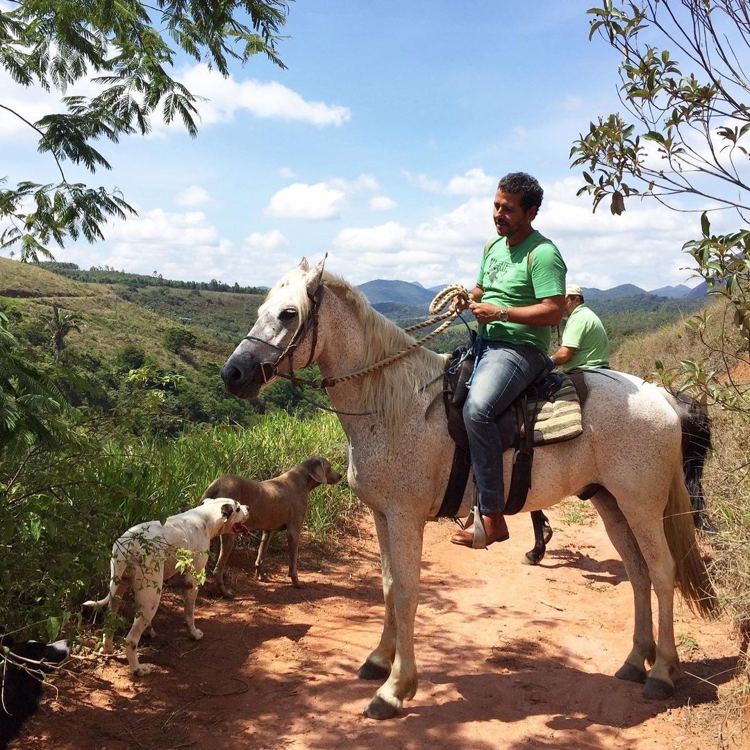 Assim como José Inocêncio em 'Renascer', Marcos Palmeira também fica confortável andando a cavalo. Em sua fazenda, ele trabalha na consolidação de uma agrofloresta na região, através da prática da pecuária regenerativa — Foto: Reprodução/Redes sociais