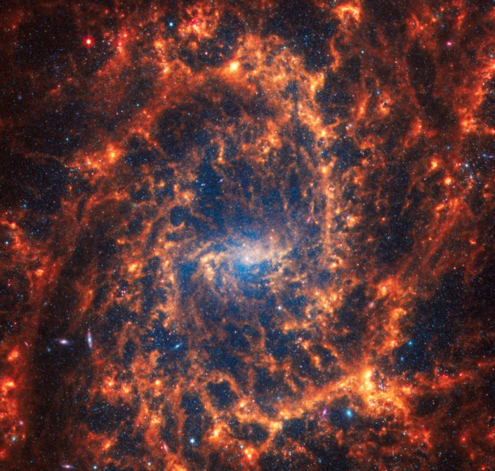 Galáxia espiral NGC 2835 — Foto: Nasa