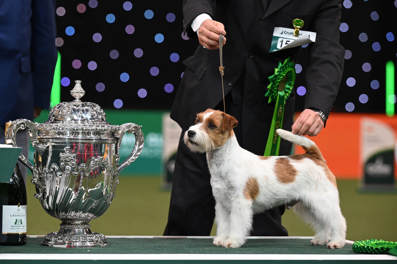 Jack Russell, "Zen", posa para fotos na entrega do troféu após ser vice-campeão no evento — Foto: AFP