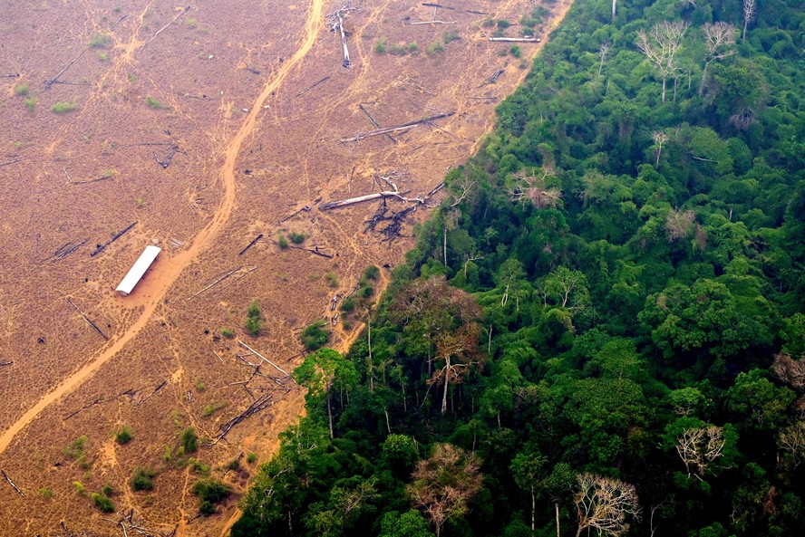 Área desmatada na região de Lábrea (AM), na região que com maior foco de destruição em 2022