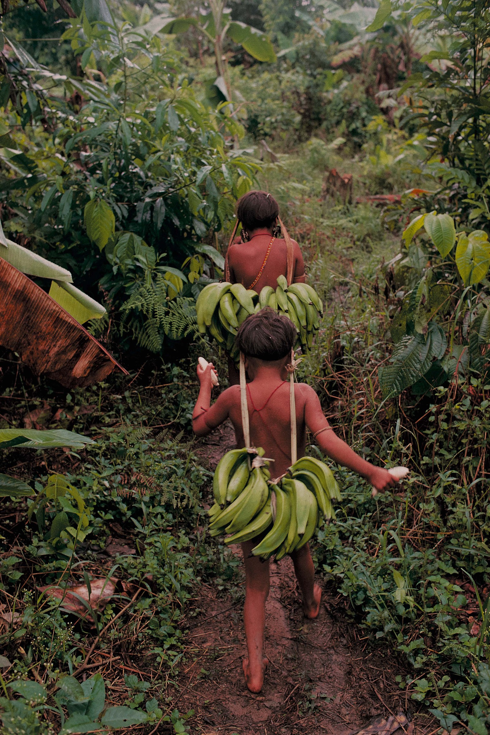 Povo Yanomami, Aldeia Demini, Watoriki — Foto: Hiromi Nagakura/Divulgação