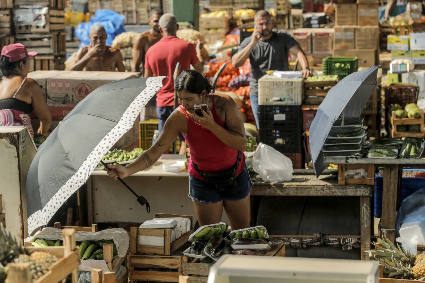 Vendedora usa sombrinha para proteger alimentos à venda no Ceasa do Rio. Calor extremo tem gerado maior perda de produtos, assim como aumento dos preços — Foto: Gabriel de Paiva / Agência O Globo