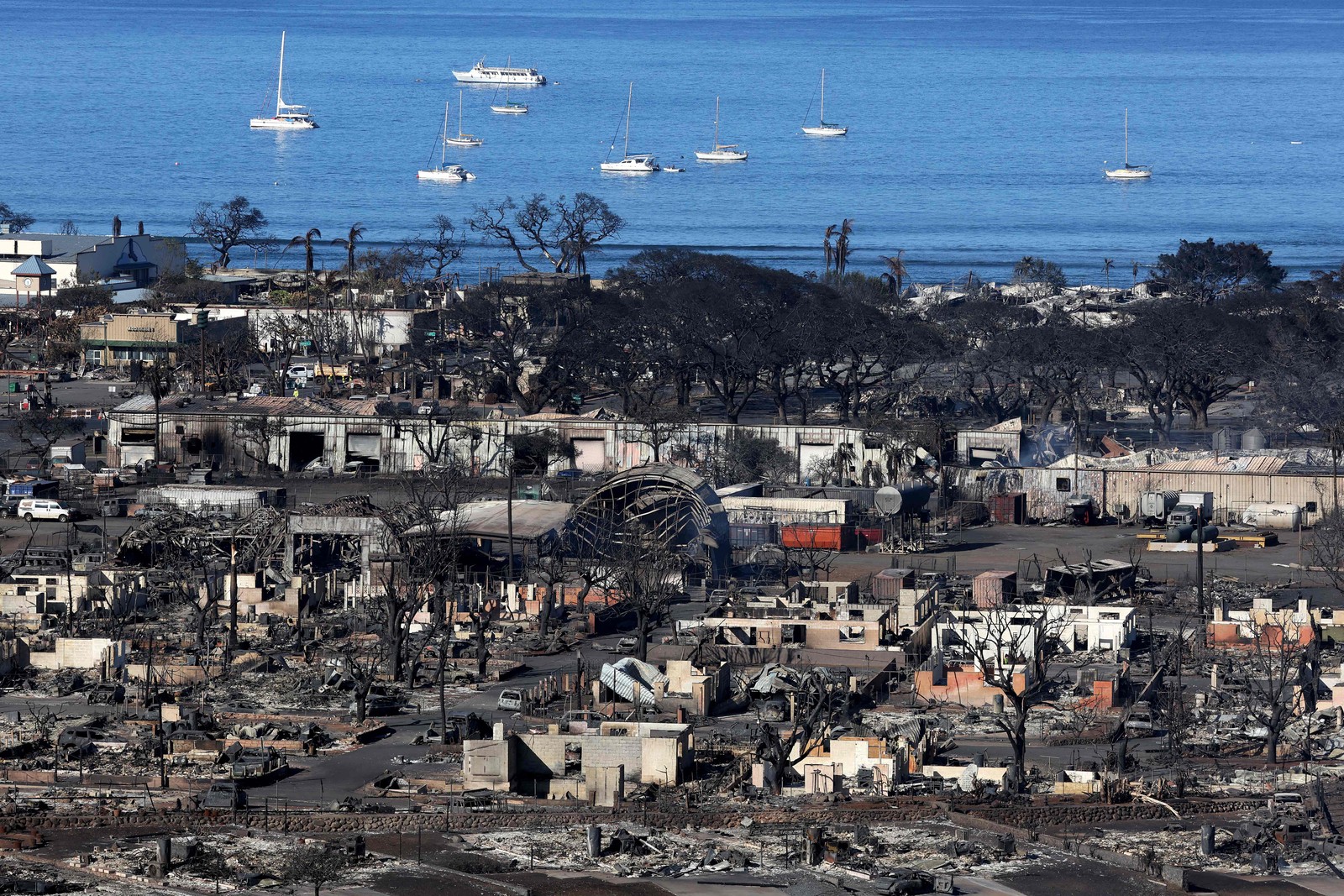 Em uma vista aérea, é possível ver o cenário em que casas e empresas que foram destruídas por um incêndio florestal em 11 de agosto de 2023 em Lahaina, Havaí. Dezenas de pessoas morreram e milhares ficaram desabrigadas depois que um incêndio florestal causado pelo vento devastou a cidade de Lahaina nesta semana. — Foto: Justin Sullivan/Getty Images/AFP