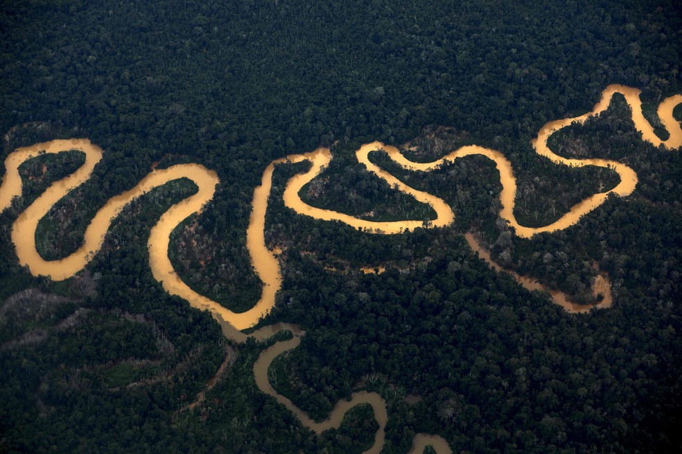 Vista aérea de território Yanomami — Foto: Michael Dantas / AFP