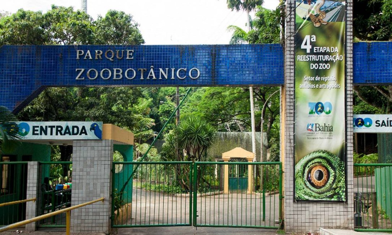 O Zoobotânico de Salvador, na Bahia, é considerado um centro de referência na preservação dos animais silvestres ameaçados de extinção e pertencentes à fauna brasileira — Foto: Divulgação / Zoobotânico