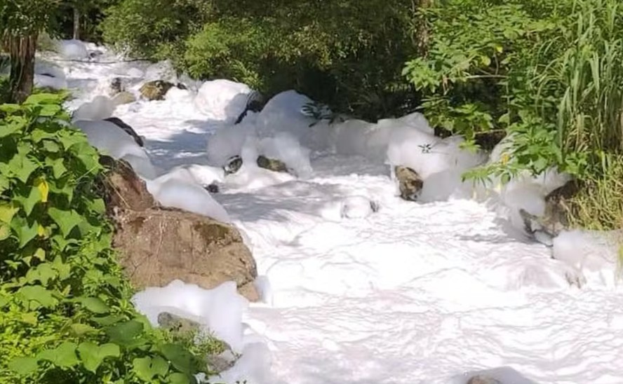 Substância tóxica criou espuma em rio de Joinville e interrompeu abastecimento de água