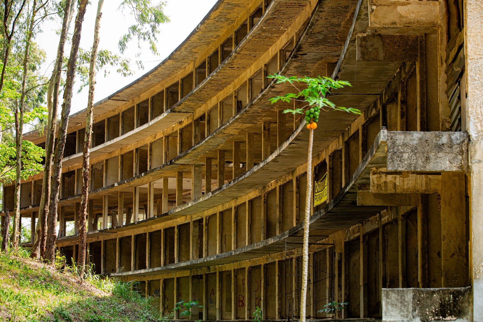 Esqueleto do Hotel Panorama, encravado no Morro da Viração, perto do Parque da Cidade, em Niterói. Projeto arquitetônico foi revalidado pela prefeitura, mas as obras ainda dependem de licença para serem iniciadas — Foto: Roberto Moreyra / Agência O Globo