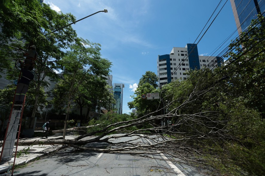 Desastre: quedas de árvores comprometeram a alimentação de energia em diversos bairros de São Paulo