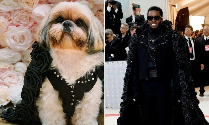 Gizmo inspirado em P. Diddy