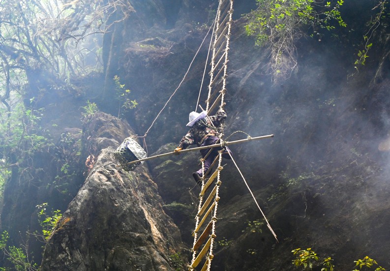 Nepaleses fazem coleta de 'mel alucinógeno' no Himalaia — Foto: AFP