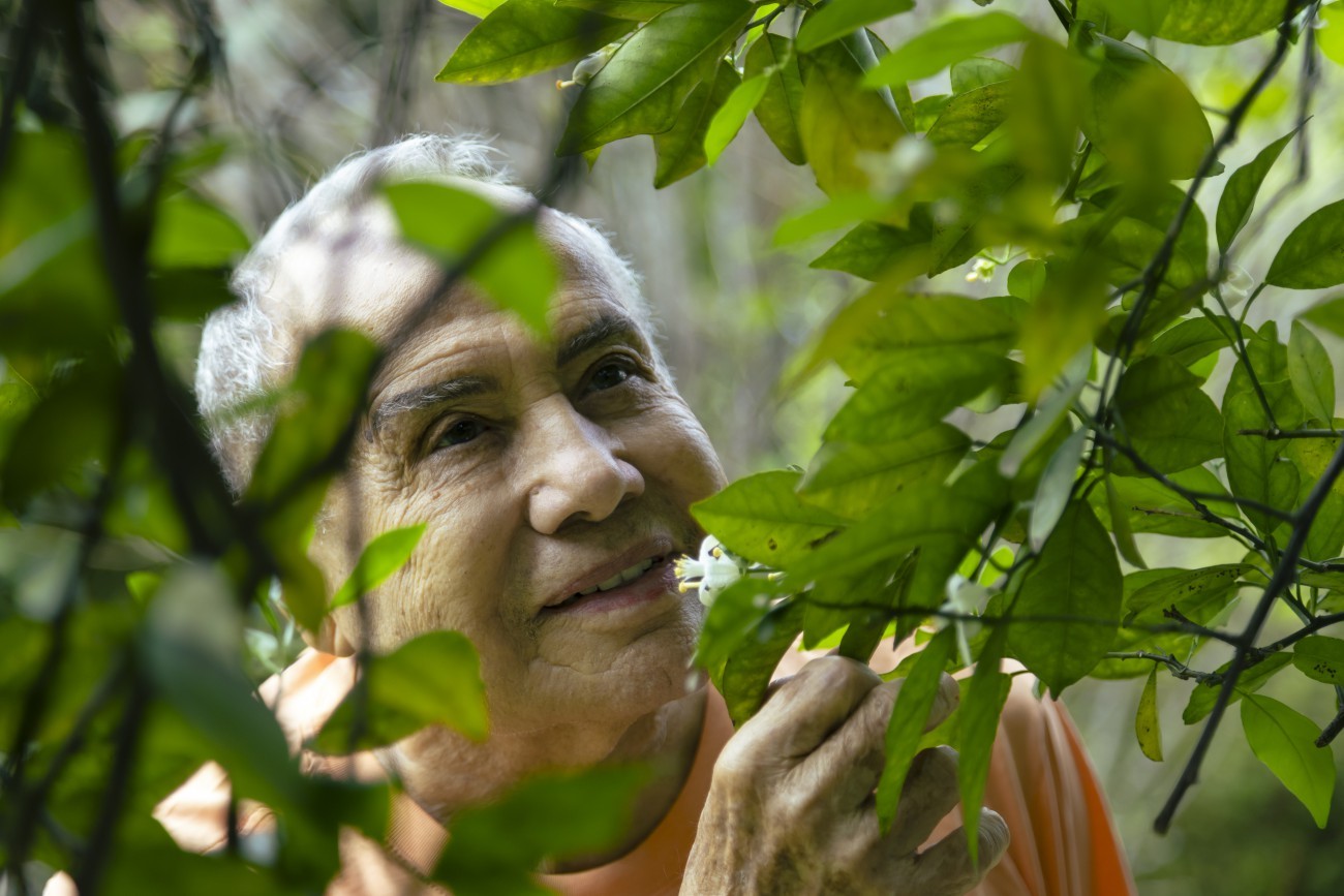 Stenio conta que as árvores do quintal têm nomes de parentes que já morreram — Foto: Leo Martins