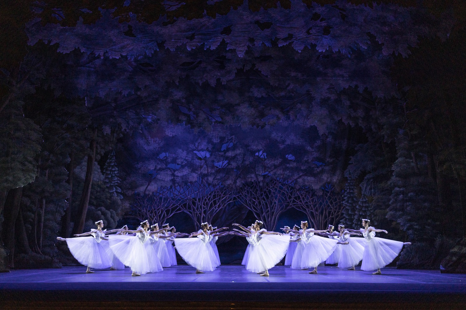 Cena de 'Giselle', no Theatro Municipal do Rio de Janeiro — Foto: Divulgação/Daniel Ebendinger