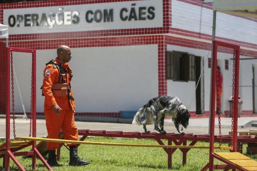 O cão Boss durante seu treinamento