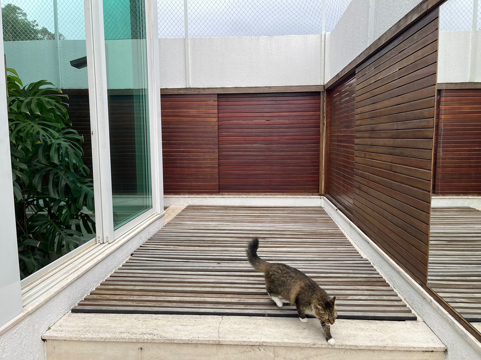 Quando não está em uso, a piscina é coberta — Foto: Reprodução