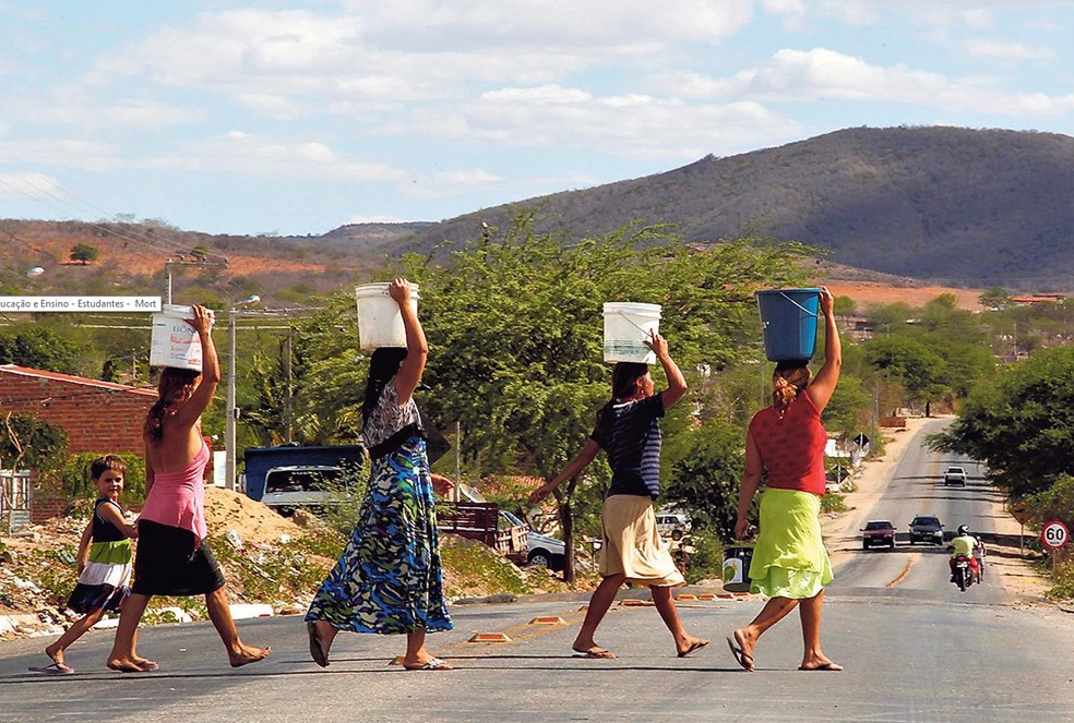 Novas vidas secas no Nordeste — Foto: Custódio Coimbra