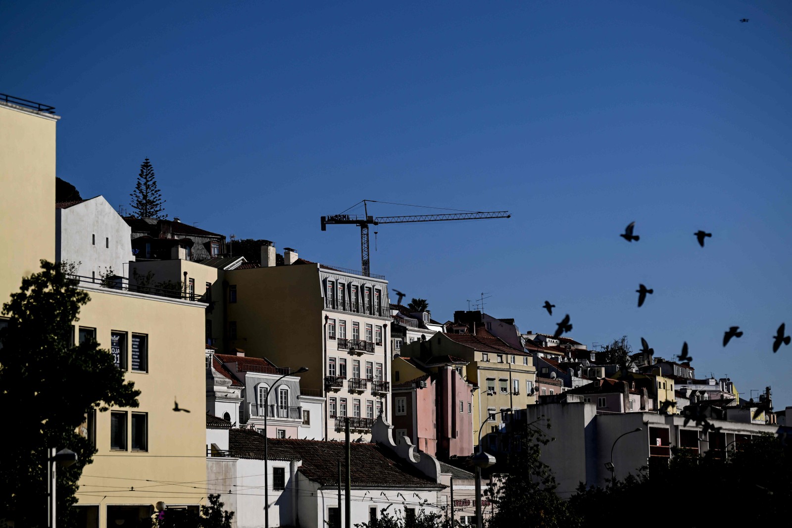 Manifestação em Lisboa por . Portugueses realizam ato nas ruas de lisboa por melhores condições de habitação e edidas de enfrentamento para a crise habitacional. — Foto: Patricia DE MELO MOREIRA / AFP