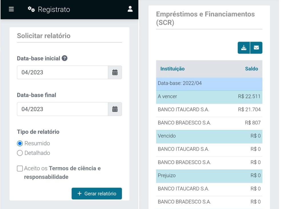 Verifique a instituição financeira e a soma dos valores a vencer, já vencido e prejuízos — Foto: Reprodução