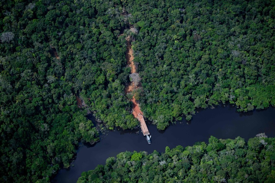Retirada de madeira na Floresta Amazônica