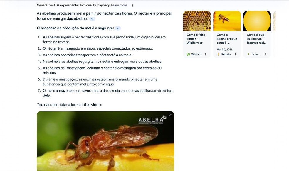 Reposta do SGE para.a pergunta "Como abelhas produzem mel" — Foto: Reprodução/Google