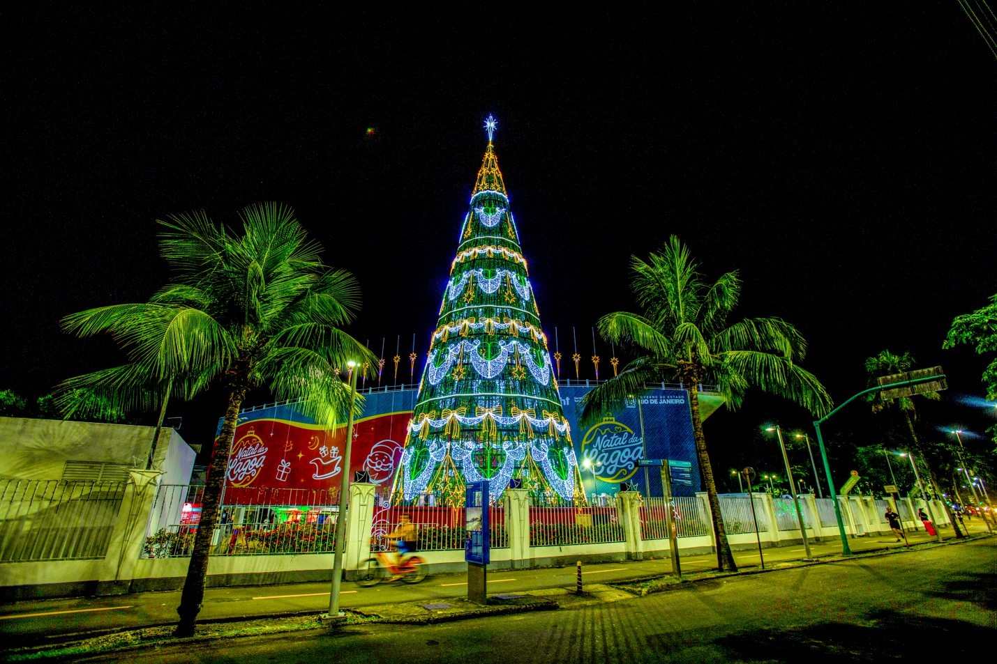 A tradicional árvore da Lagoa, de volta, no Lagoon — Foto: Alexandre Cassiano