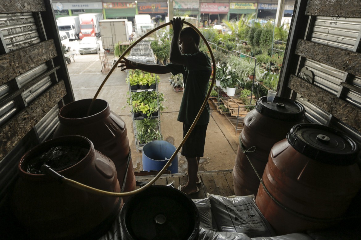 No estande de plantas, consumo de água passou de 500 para mil litros d'água somente para regar as mudas — Foto: Gabriel de Paiva / Agência O Globo