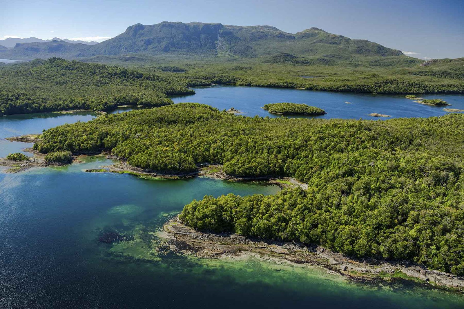 Ilha virgem tem mais de 44.559 hectares, equivalente a um terço da área da cidade do Rio de Janeiro — Foto: Hall and Hall