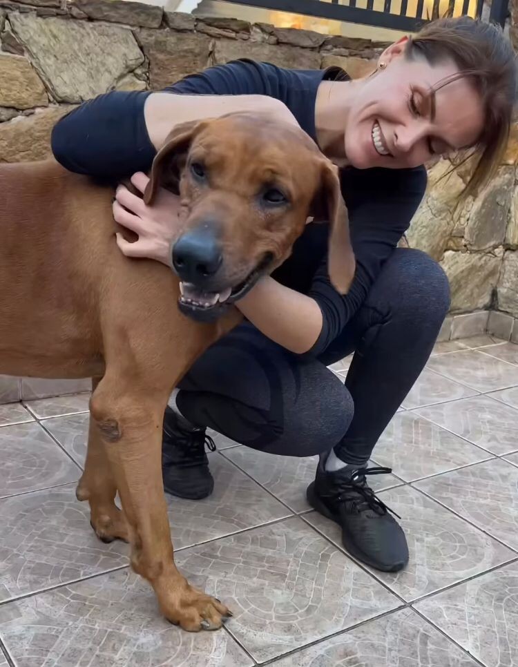 Ana Hickmann compartilha o dia a dia dos seus cachorros no perfil Canil Hickmann Ridgehunter, que tem mais de 73 mil seguidores — Foto: Reprodução