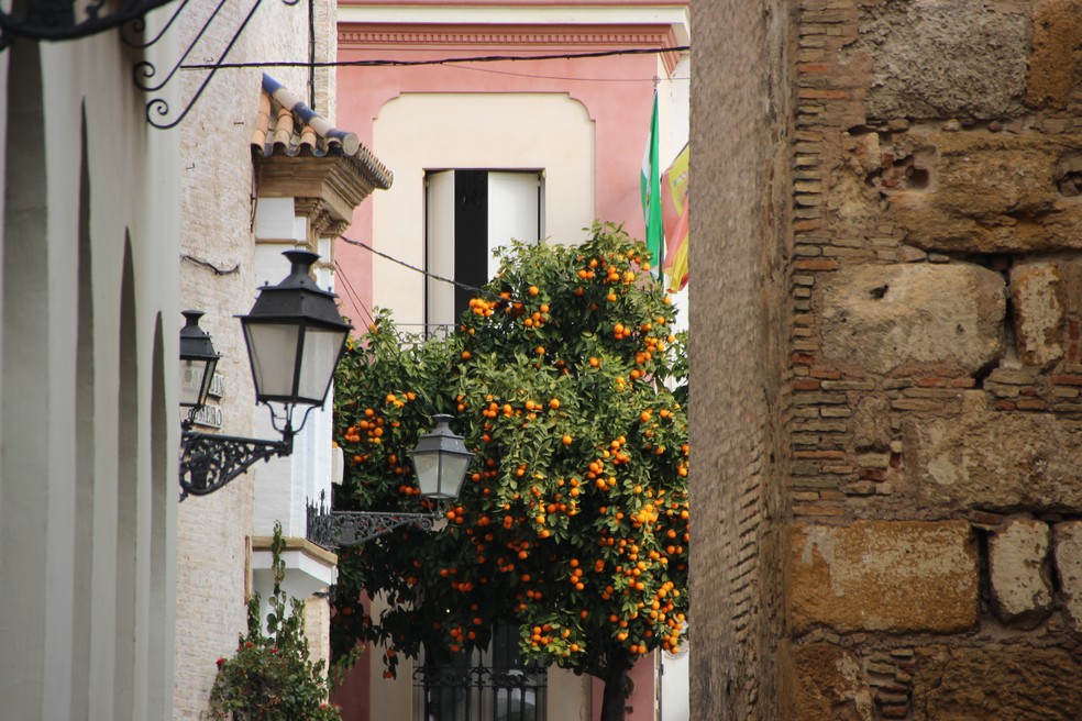  Bairro de Santa Cruz, antigo bairro judeu da Sevilha medieval, na Andaluzia, na Espanha. — Foto: Eduardo Maia/O Globo