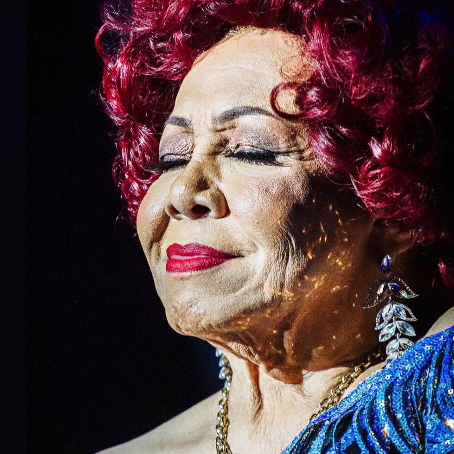 Alcione, enredo da Mangueira no carnaval 2024 — Foto: Divulgação