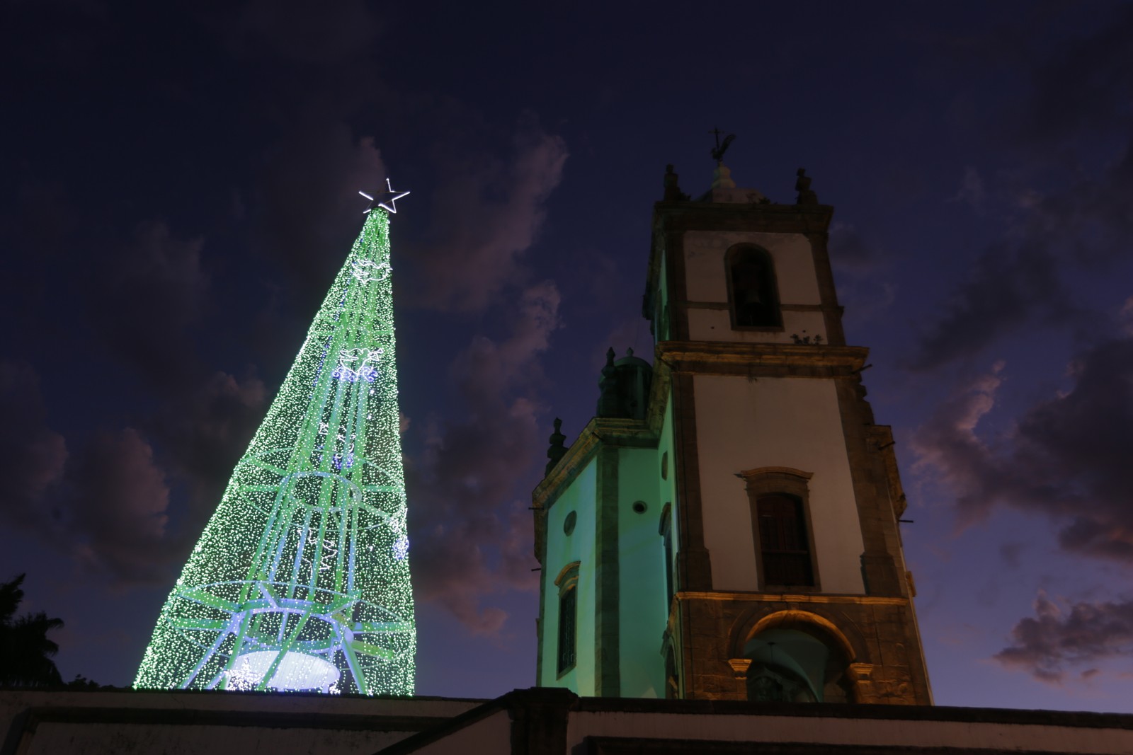 A árvore em cores azul e verde, do Outeiro da Glória — Foto: Domingos Peixoto