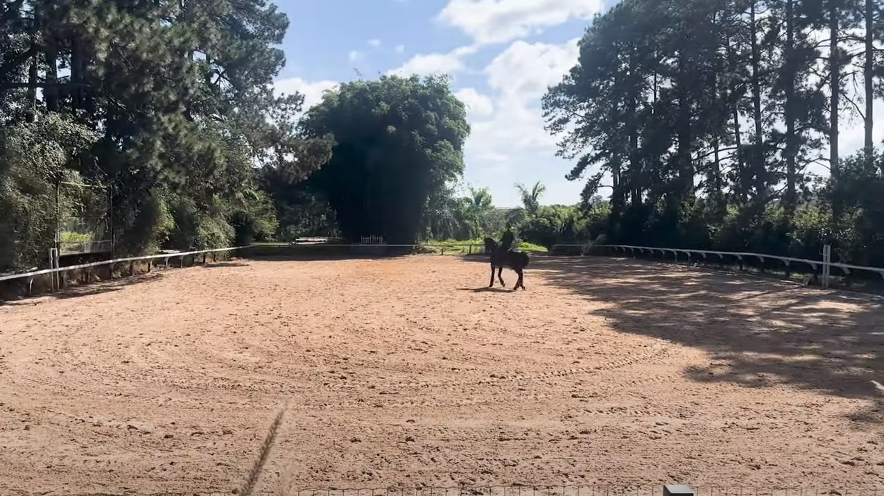 A ex-BBB Bianca Andrade no haras que é o quintal de sua nova casa em São Paulo: 'Tenho um cavalo' — Foto: Reprodução/YouTube