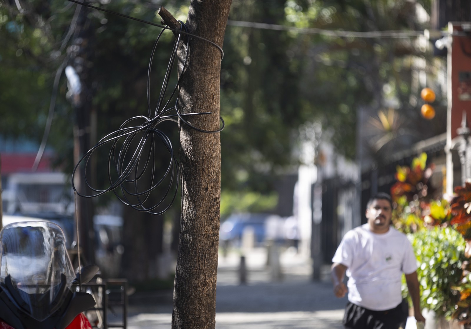 Emaranhado de cabos e fios cortados são comuns e representam riscos nas ruas do Rio. — Foto: Marcia Foletto / Agência O Globo