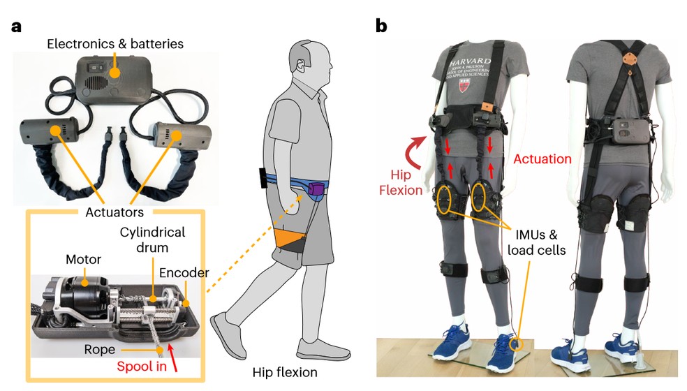 Cientistas de Harvard criam dispositivo robótico vestível que melhora a caminhada de pacientes com Parkinson. — Foto: Nature Medicine