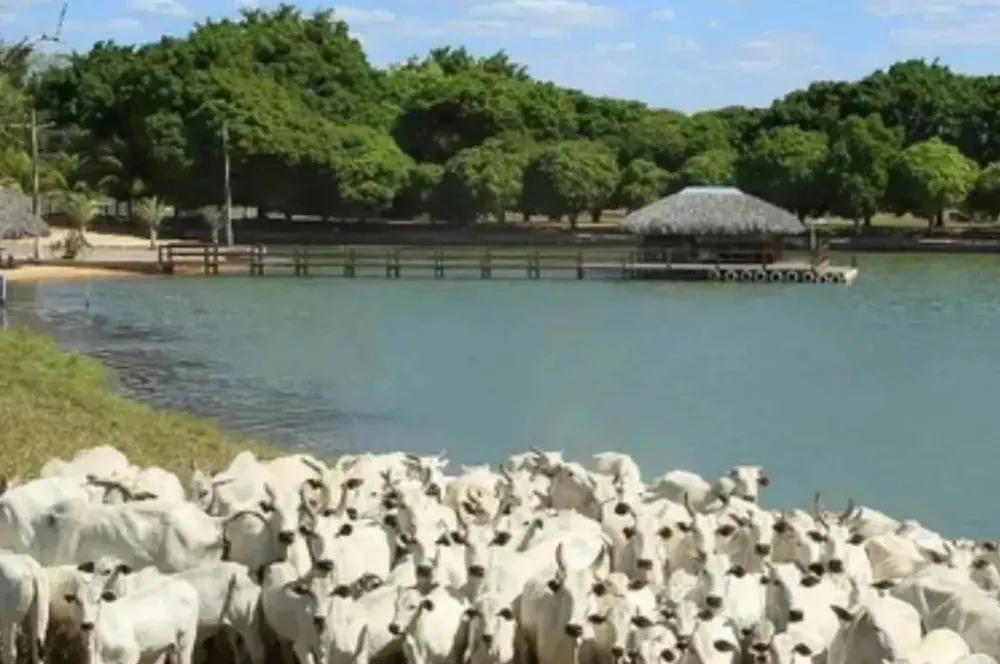 A fazenda de Zezé de Camargo em Goiás — Foto: Reprodução