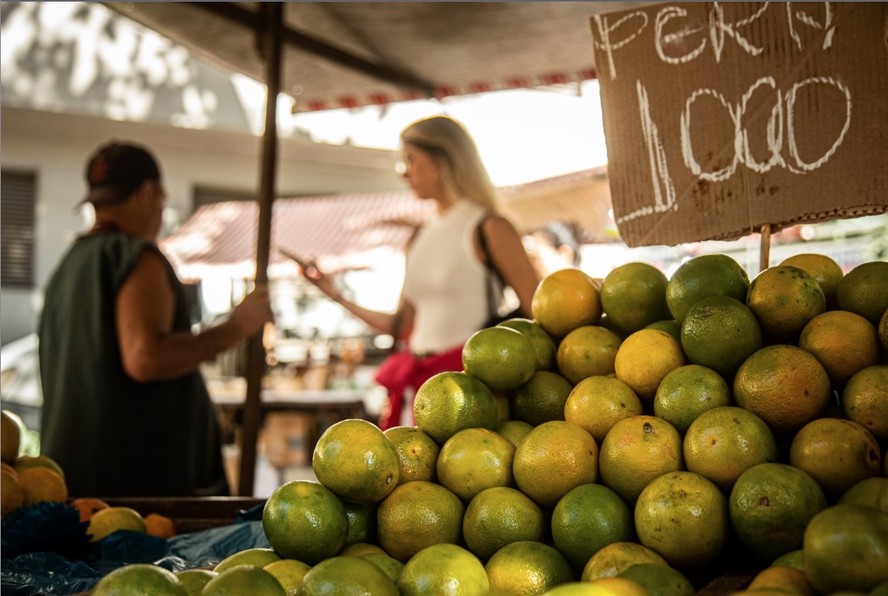 Quilo da  laranja pera é vendido a R$ 10 em feira do Rio