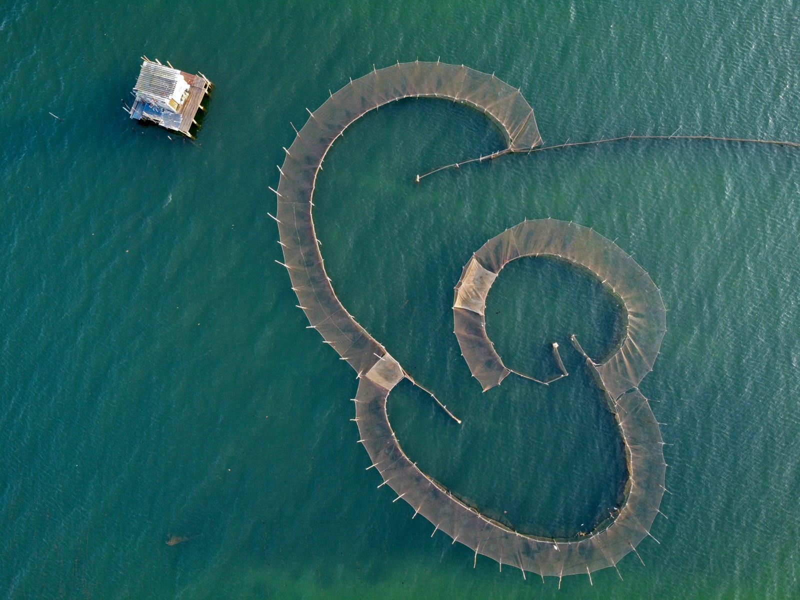 Pesca em curral, técnica tradicional que usa armadilhas para manter os peixes em um espaço (curral) dentro do mar — Foto: Custódio Coimbra / Agência O Globo