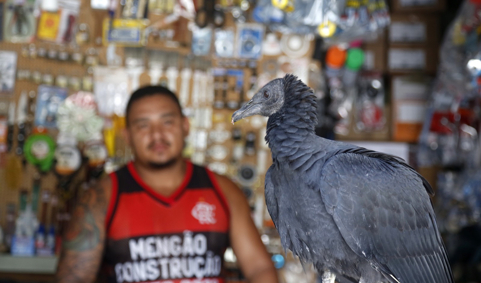 Thiago Silva Sena é dono de uma loja de material de construção na Tijuca e recebe a visita diária do urubu Vidal, nomeado assim por conta do jogador do Flamengo — Foto: Fabio Rossi / Agência O Globo