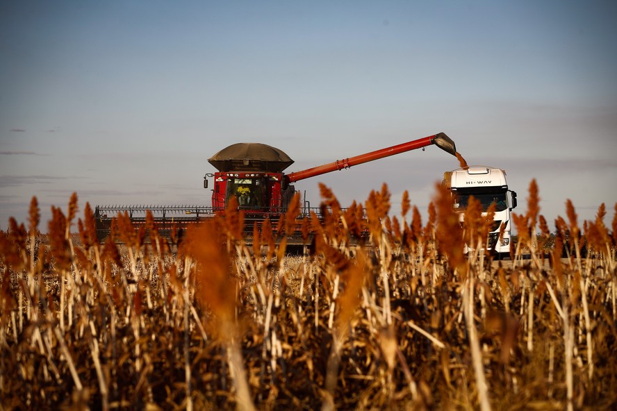 De janeiro a março, economia deu um salto, sobretudo devido à agropecuária