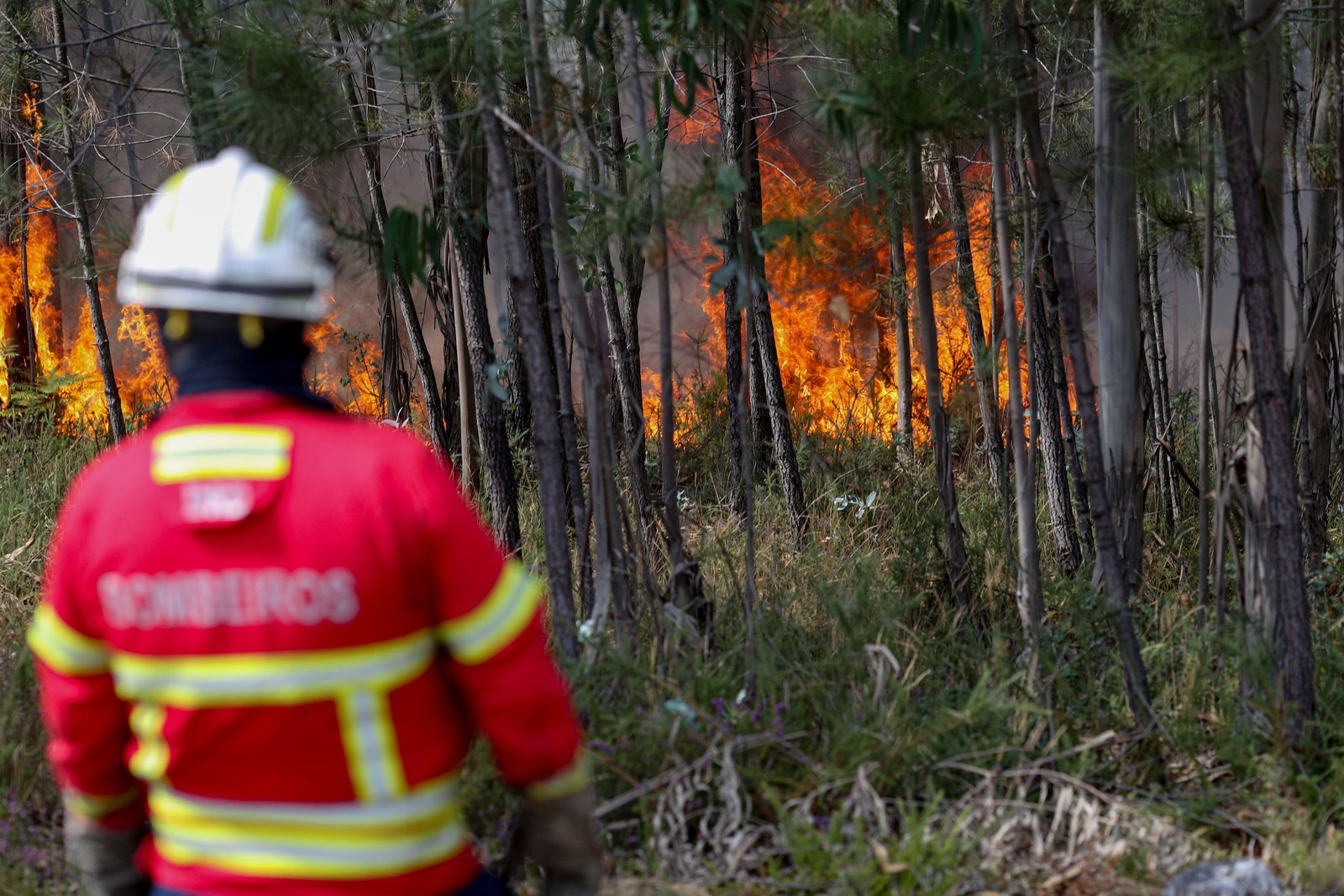 Pior seca em 70 no Vale do Pó faz governo italiano declarar estado de emergência em cinco regiões do norte do  — Foto: ANDREA PATTARO / AFP