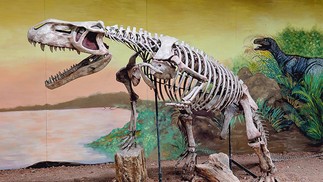 Programa jurássico. O Museu de Ciências da Terra, na Urca, tem fósseis de dinossauros brasileiros — Foto: Divulgação/Gabriel Andrade