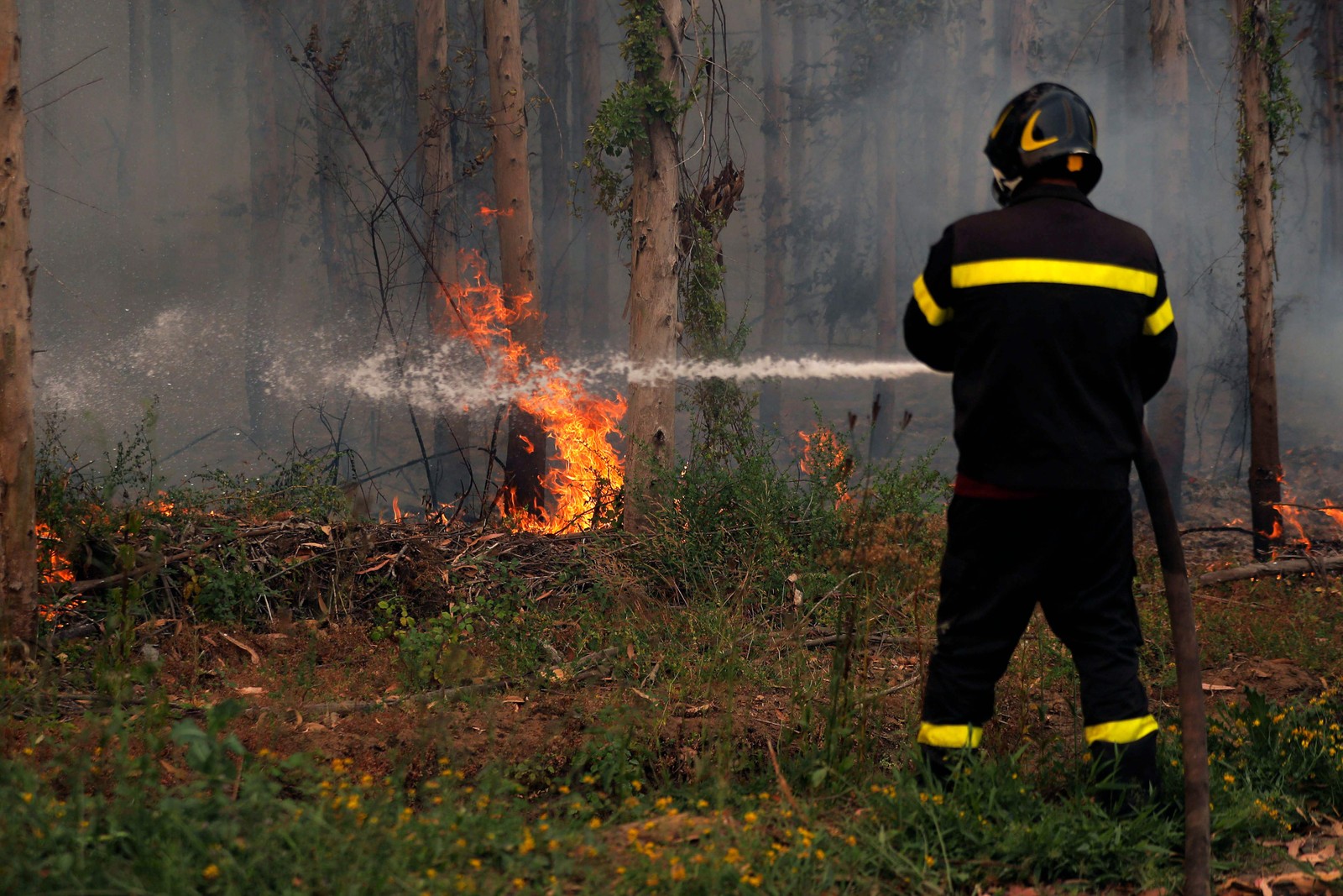 Bombeiros combatem um incêndio florestal em Santa Juana, província de Concepcion, Chile — Foto: JAVIER TORRES/AFP