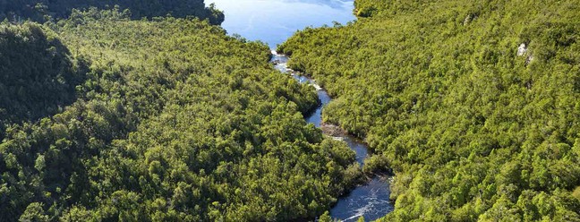 Ilha privada intocada possui selvas, 241,4 km de costa, água doce, lagos, lagoas e exuberantes florestas — Foto: Hall and Hall
