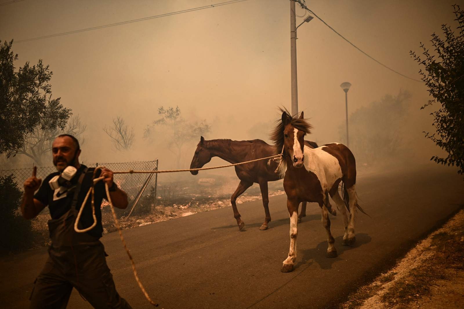 Um homem resgata cavalos durante um incêndio florestal em Chasia, nos arredores de Atenas — Foto: Angelos Tzortzinis/AFP