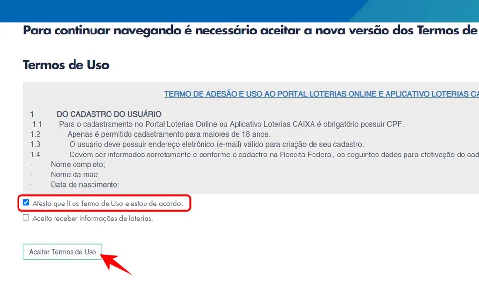 Depois de fazer o login, marque a caixa de seleção e clique no botão "Aceitar Termos de Uso". — Foto: Reprodução