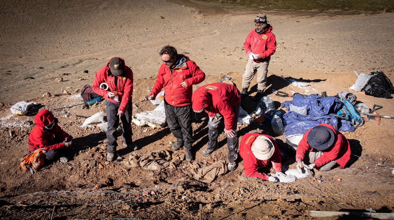 Descobertas representam o registro fóssil mais ao sul deste tipo de dinossauro fora da Antártica — Foto: INACH / AFP